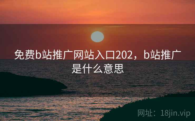 免费b站推广网站入口202，b站推广是什么意思