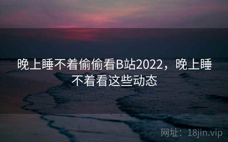 晚上睡不着偷偷看B站2022,晚上睡不着看这些动态 晚上睡不着偷偷看B站2022,晚上睡不着看这些动态
