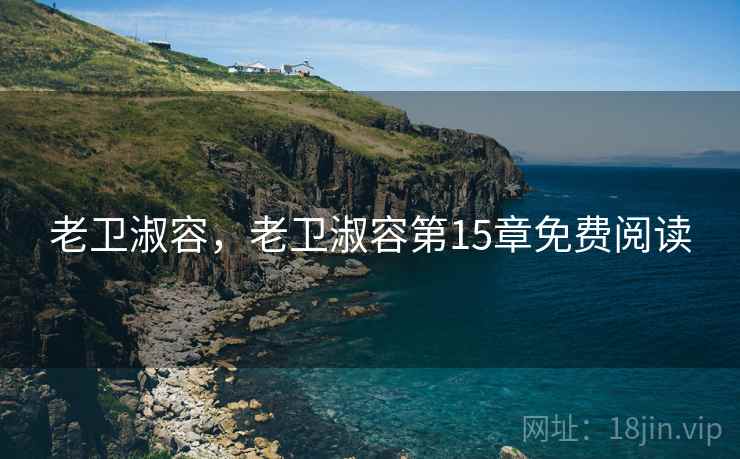 老卫淑容，老卫淑容第15章免费阅读