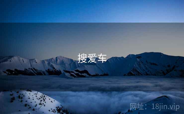 搜爱车