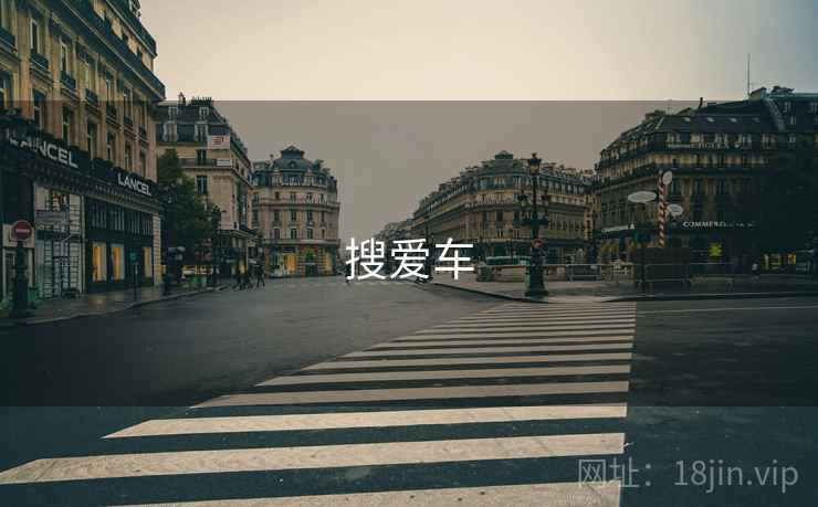 搜爱车