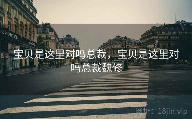 宝贝是这里对吗总裁，宝贝是这里对吗总裁魏修