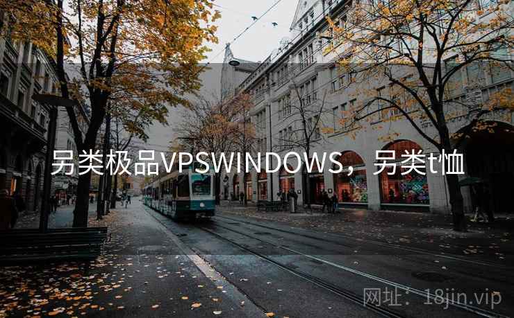 另类极品VPSWINDOWS,另类t恤 另类极品VPSWINDOWS,另类t恤
