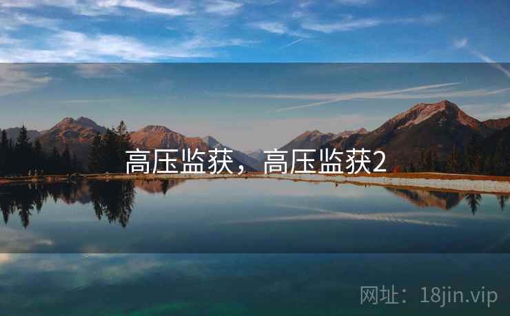 高压监获，高压监获2