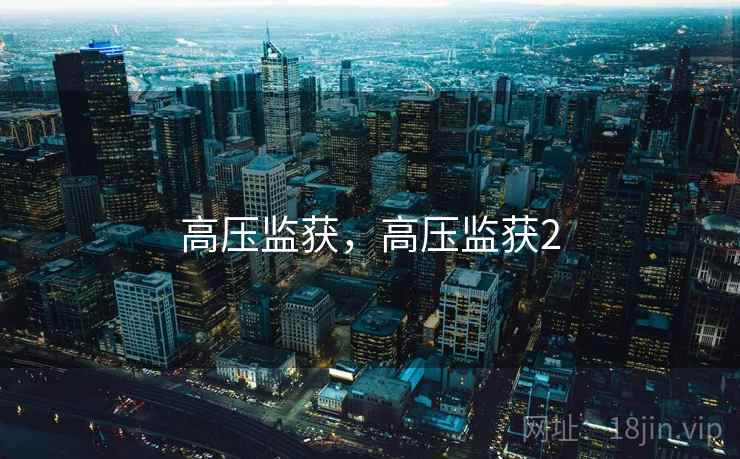 高压监获，高压监获2